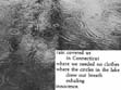 DECombined13